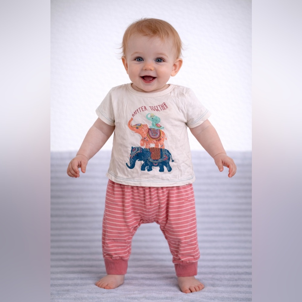 Peek Baby Girl Outfit Elephant Graphic Tee Pink Stripe Pants Set | Size 3-6M